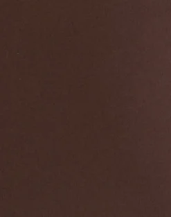 Avi Swim Short in Brown with O Ring