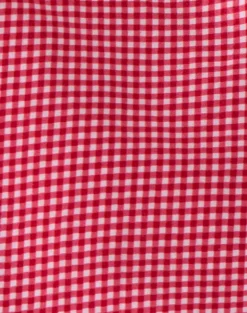 Ayana Backless Mini Dress in Linen Red Gingham