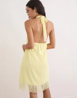 Brisea Mini Dress in Lemon with Vintage Bloom Embroidery