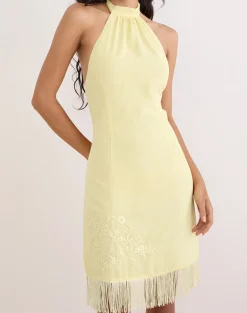 Brisea Mini Dress in Lemon with Vintage Bloom Embroidery