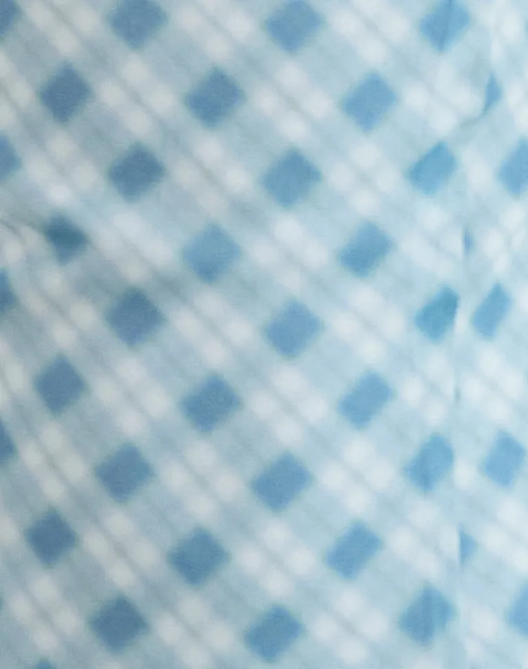 Briva Neck Tie Top in Blurred Check Blue