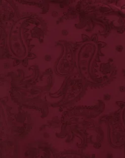 Elif Midi Skirt in Flock Compact Paisley Wine