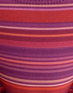 Farida Bikini Bottom in Purple and Red Radiant Lines