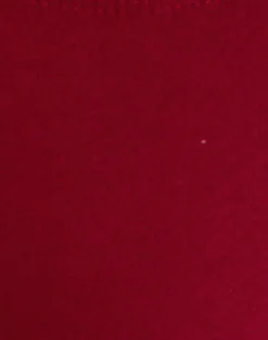 Farida Bikini Bottom in Shine Red