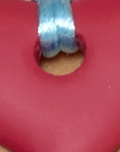 Heart Necklace in Resin Red