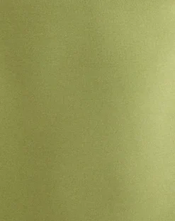 Ione Quarter Sleeve Top in Apple Green