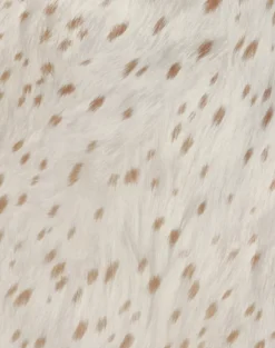 Jenat Mini Dress in Ivory Bambi Print with Scarf