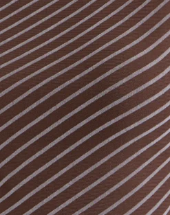 Lakya Long Sleeve Top in Diagonal Stripe Flocked Brown and Cream