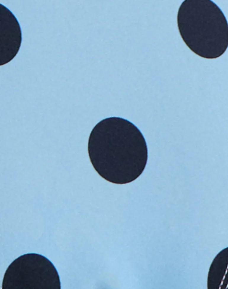 Lentra Bikini Bottom in Blue with Polka Space Black