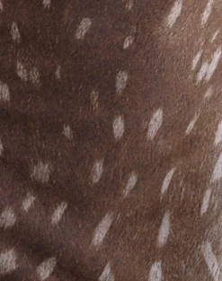 Molada Mini Dress in Mesh Blurry Deer Brown