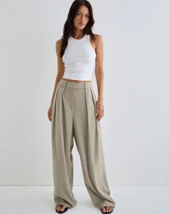 Nala Wide Pleat Trouser in Taupe Tailoring