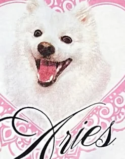Oversize Basic Tee in White with Aries Motel Pet Print