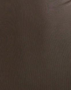 Sanyu Plunge Maxi Dress in Cupro Dark Brown