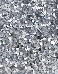 Sequin Hobo Bag in Silver