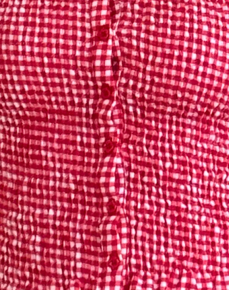 Soter Top in Red Gingham