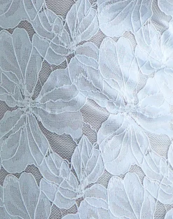 Titania Collar Mini Dress in Zinnia Lace Blue