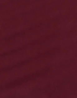 Yuzuki Mini Dress in Cupro Burgundy